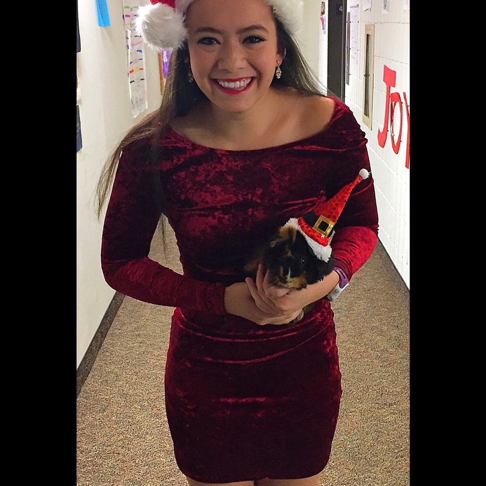 Red Velvet Long Sleeve Dress